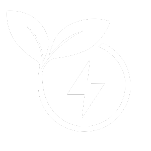 Icon_1